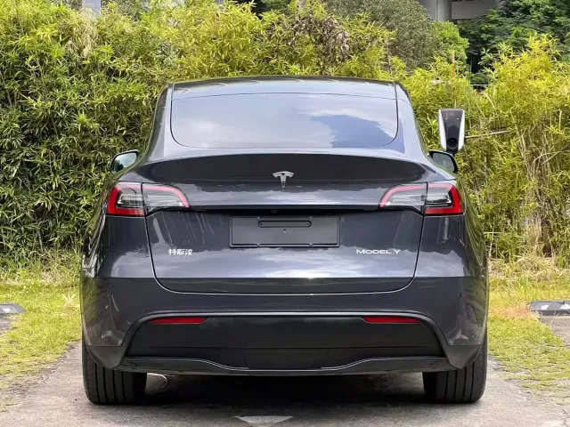 Tesla Model Y — Фото автомобиля 6