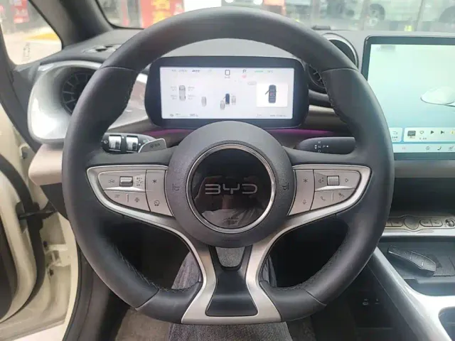 BYD Dolphin 2025 Smart Drive Edition 410km Fashion Version — Фото автомобиля 10