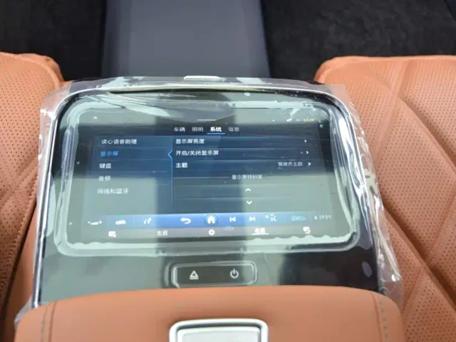 Mercedes-Benz Maybach S-Class — Фото автомобиля 16