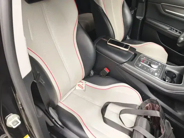 BYD Destroyer 05 2022 DM-i 55KM Luxury — Фото автомобиля 24