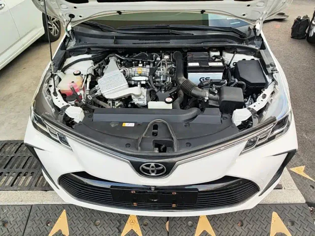 Toyota Corolla — Фото автомобиля 19