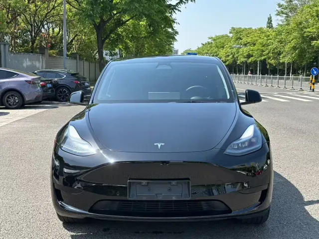 Tesla Model Y — Фото автомобиля 2
