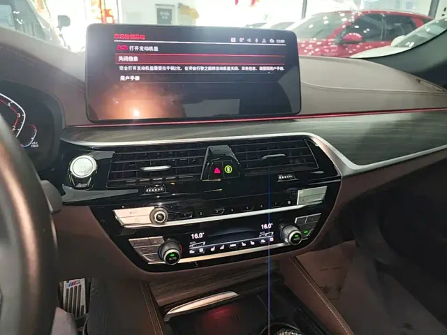 BMW 5 Series — Фото автомобиля 12