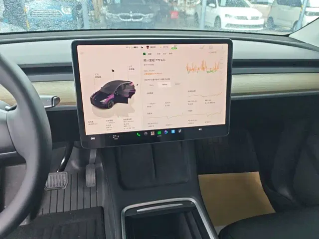 Tesla Model Y — Фото автомобиля 12