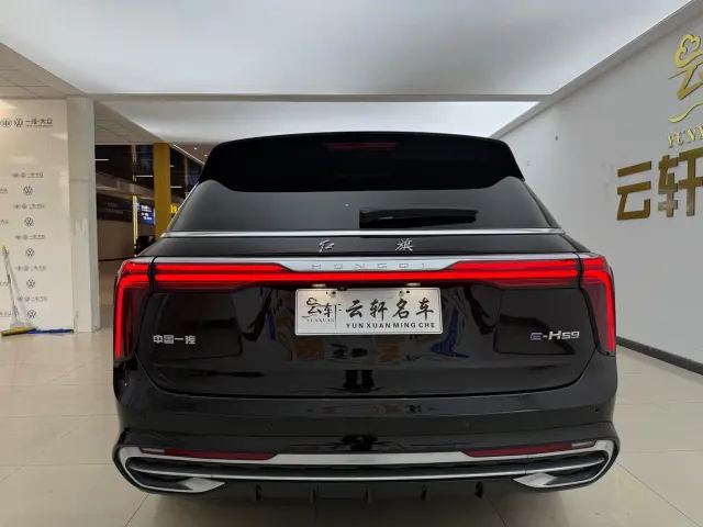 Hongqi E-HS9 — Фото автомобиля 22
