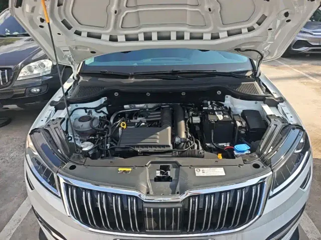 Skoda Karoq — Фото автомобиля 19