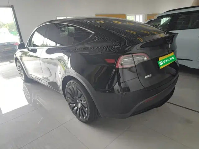 Tesla Model Y — Фото автомобиля 4