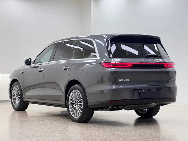 Wey V9X — Фото автомобиля 3
