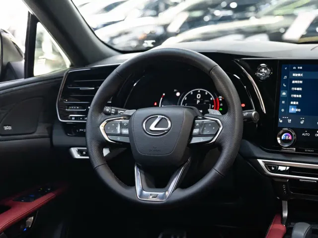 Lexus RX — Фото автомобиля 14