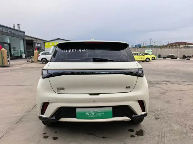 BYD Dolphin — Фото автомобиля 5