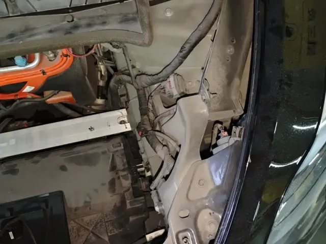 Tesla Model Y — Фото автомобиля 21