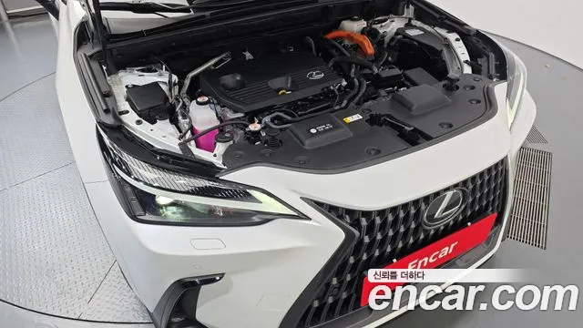 Lexus NX Generation 2 — Фото автомобиля 6