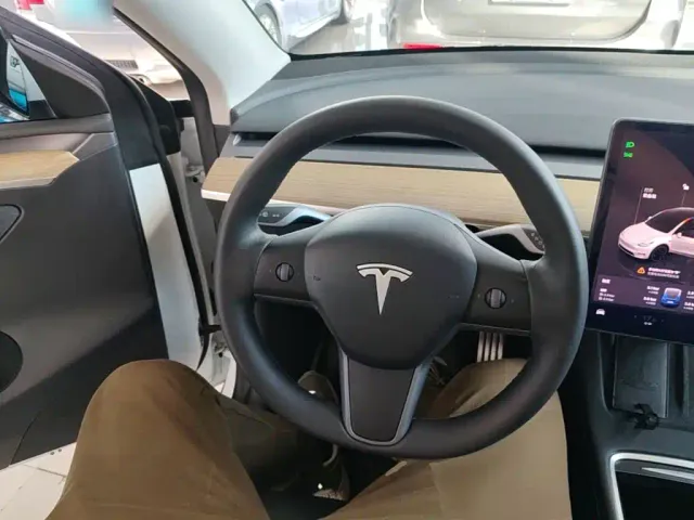 Tesla Model Y — Фото автомобиля 10