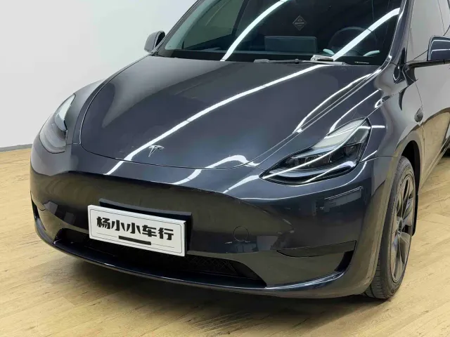 Tesla Model Y — Фото автомобиля 4