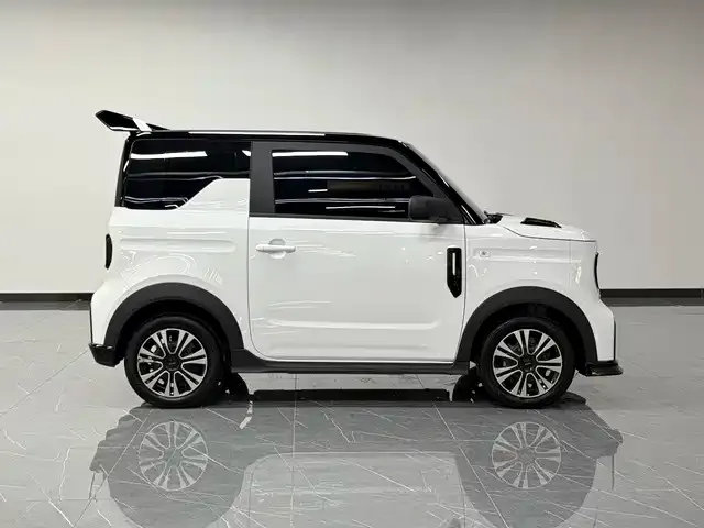 Geely Panda — Фото автомобиля 20