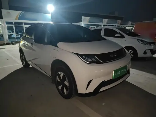 BYD Dolphin — Фото автомобиля 3