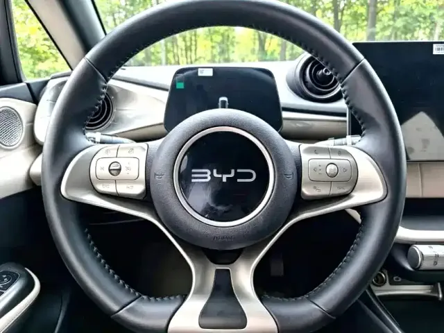 BYD Dolphin — Фото автомобиля 9