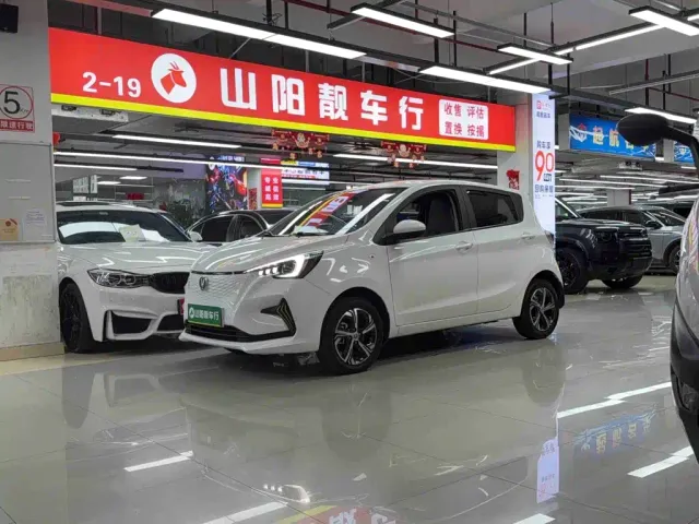 Changan Benben E-Star — Фото автомобиля 9