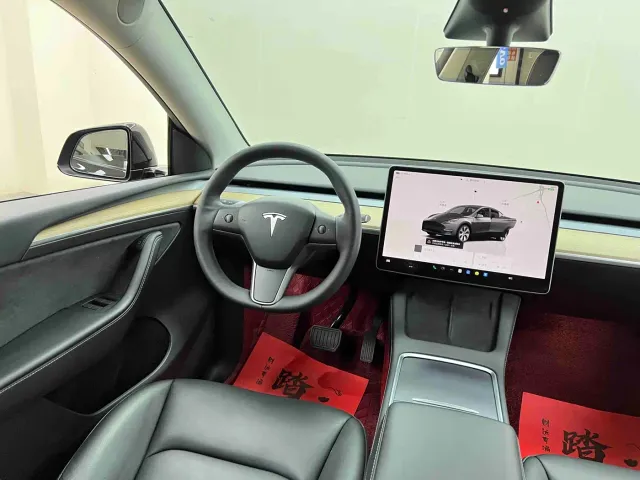 Tesla Model Y — Фото автомобиля 22
