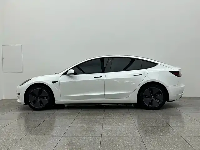 Tesla Model 3 — Фото автомобиля 8