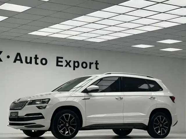 Skoda Karoq — Фото автомобиля 6