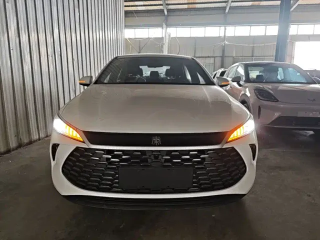 BYD Qin PLUS — Фото автомобиля 2