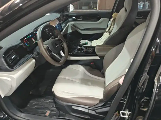 BYD Qin PLUS — Фото автомобиля 19