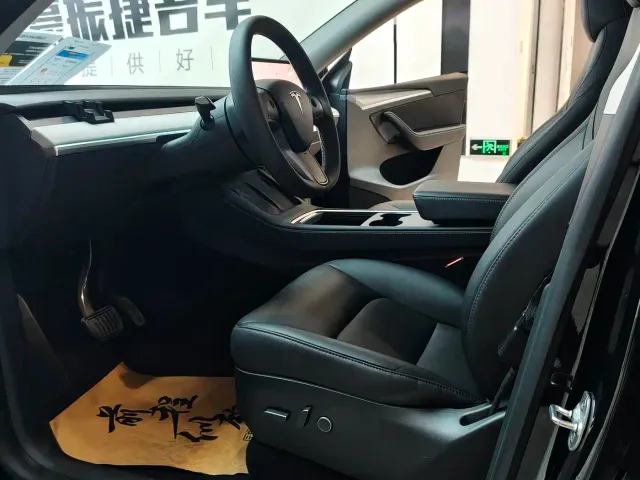 Tesla Model Y — Фото автомобиля 10