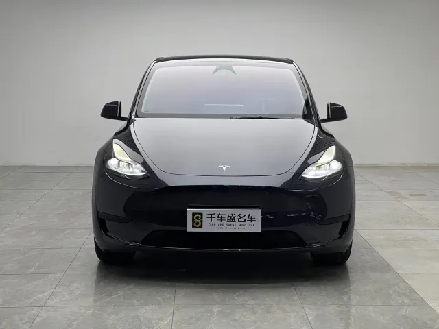 Tesla Model Y — Фото автомобиля 2