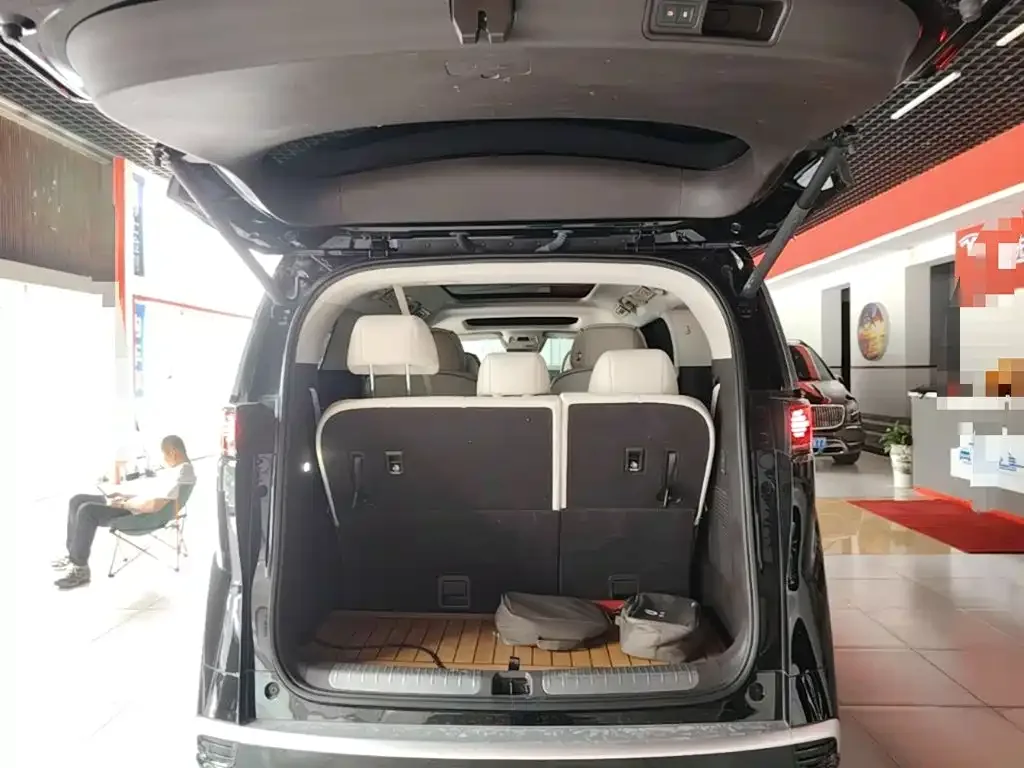 Denza Denza D9 2024 DM-i 980 AWD Prestige — Фото автомобиля 18