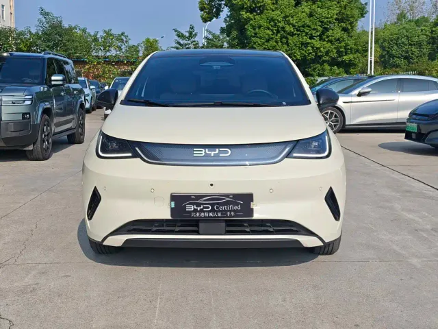 BYD Dolphin — Фото автомобиля 2