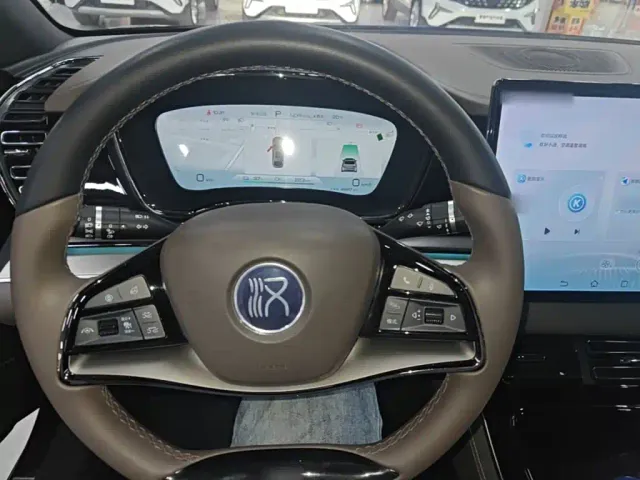 BYD Han — Фото автомобиля 10
