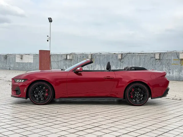 Ford Mustang — Фото автомобиля 10