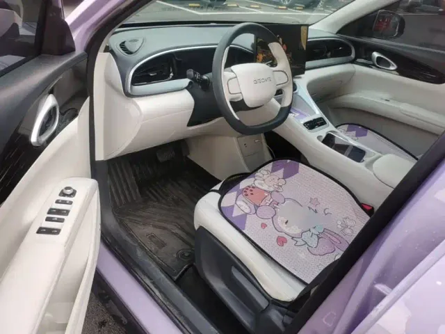 Geely Starry Wish — Фото автомобиля 15