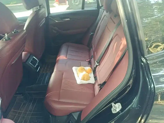 BMW X3 — Фото автомобиля 16
