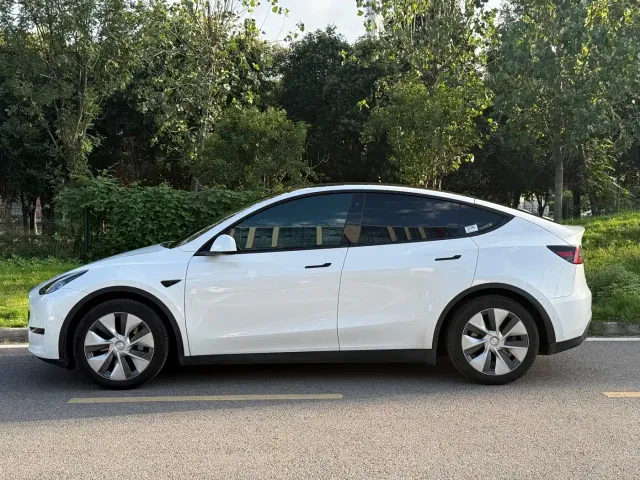 Tesla Model Y — Фото автомобиля 3