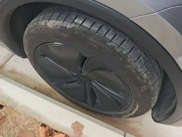Tesla Model Y — Фото автомобиля 6