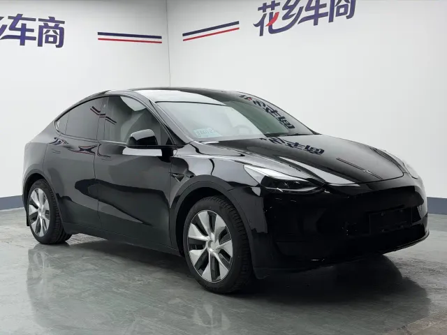 Tesla Model Y — Фото автомобиля 3