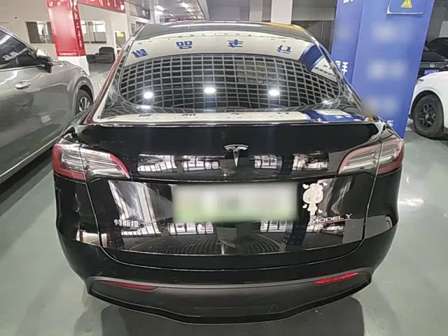 Tesla Model Y — Фото автомобиля 5