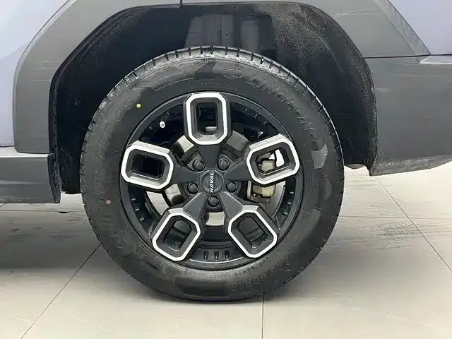 Haval Cool Dog — Фото автомобиля 19