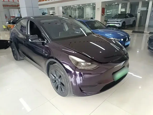 Tesla Model Y — Фото автомобиля 3
