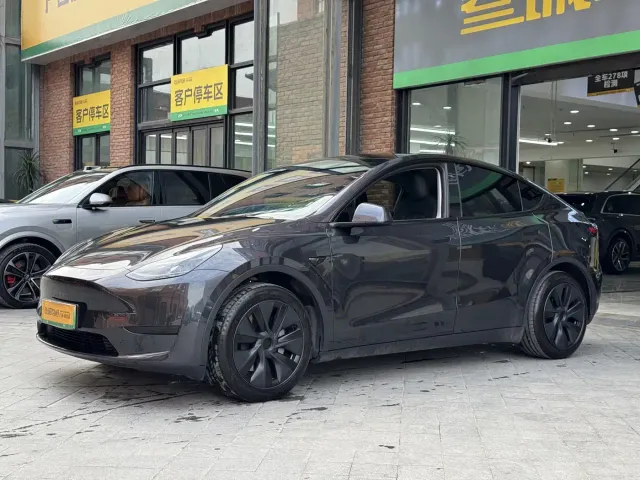 Tesla Model Y — Фото автомобиля 2