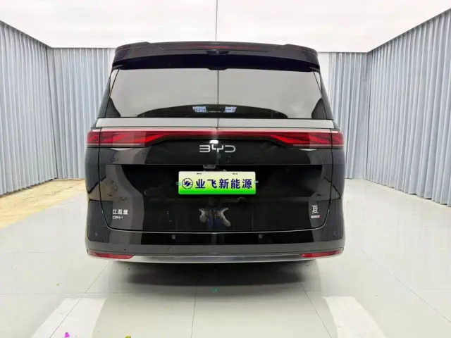 BYD Xia — Фото автомобиля 5