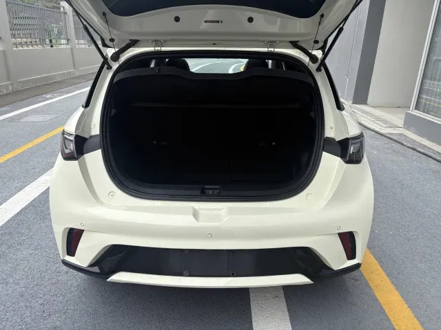 BYD Dolphin — Фото автомобиля 8