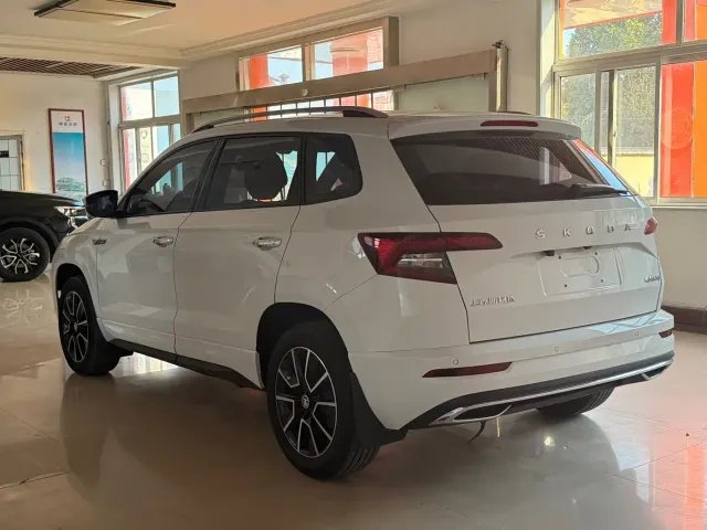 Škoda Karoq 2023 TSI280 Premium Edition — Фото автомобиля 6
