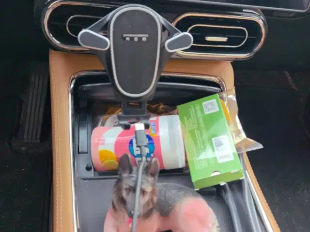 Leapmotor Leapmotor C11 2024 Pure Electric 580 Premium Edition — Фото автомобиля 16