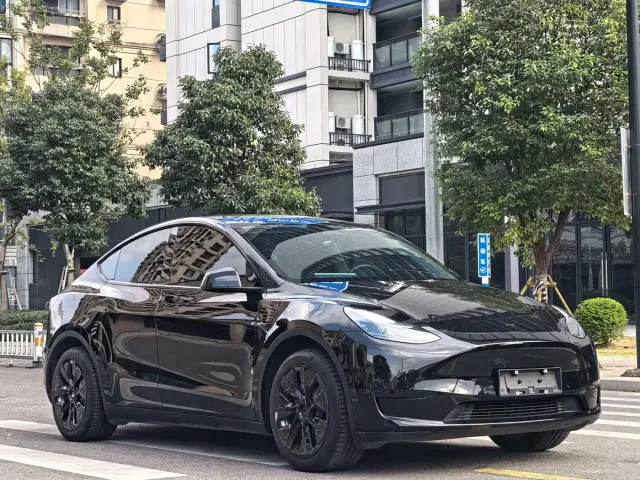 Tesla Model Y — Фото автомобиля 3