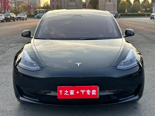 Tesla Model 3 — Фото автомобиля 2