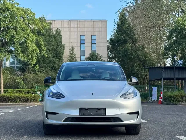 Tesla Model Y — Фото автомобиля 2
