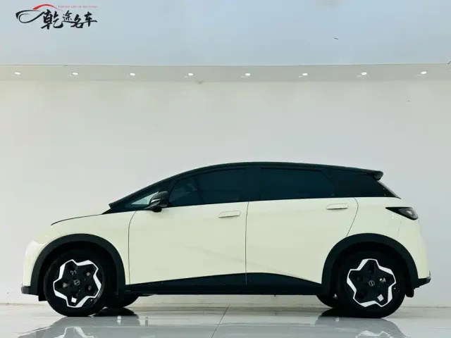 BYD Dolphin — Фото автомобиля 4
